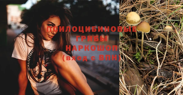 мескалин Балахна