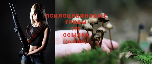 мескалин Балахна