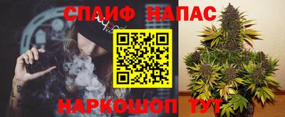 спиды Будённовск