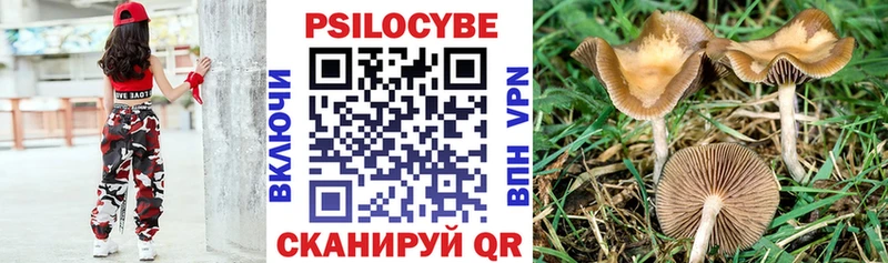 купить наркоту Гусев Галлюциногенные грибы GOLDEN TEACHER