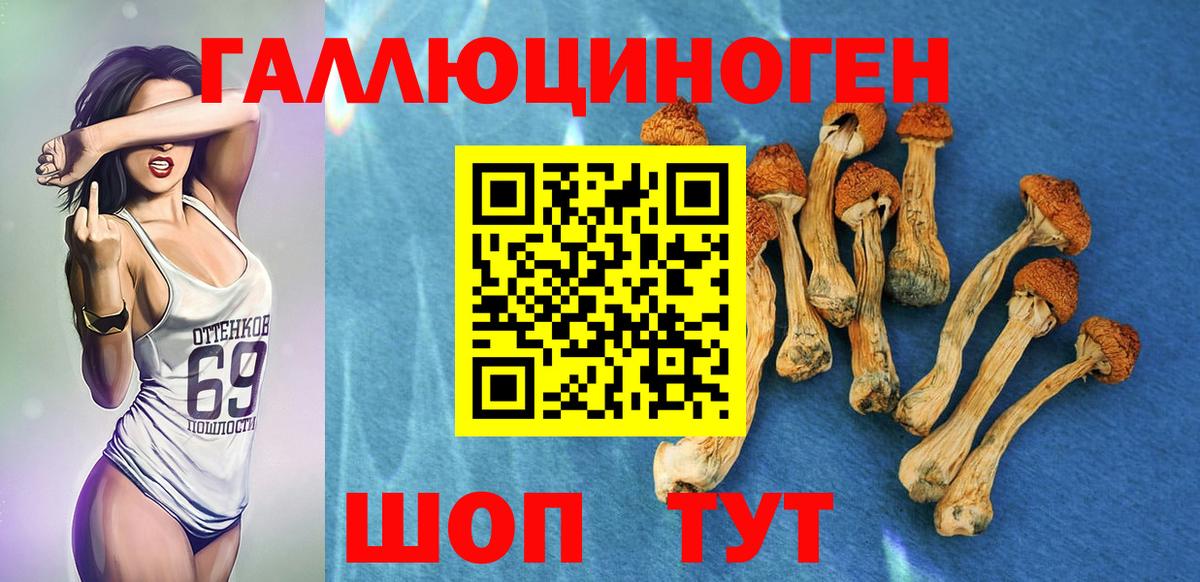 Галлюциногенные грибы MAGIC MUSHROOMS Гусев