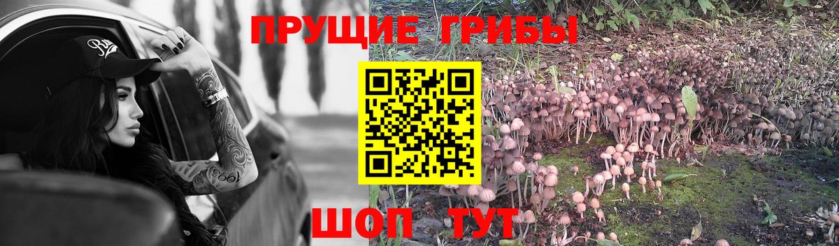 Галлюциногенные грибы ЛСД Гусев