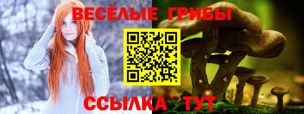 Гусев  Галлюциногенные грибы Magic Shrooms  Вход с VPN 