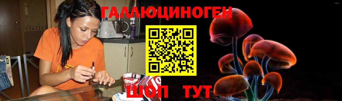 Псилоцибиновые грибы Psilocybe  Гусев  Псилоцибиновые грибы прущие грибы 