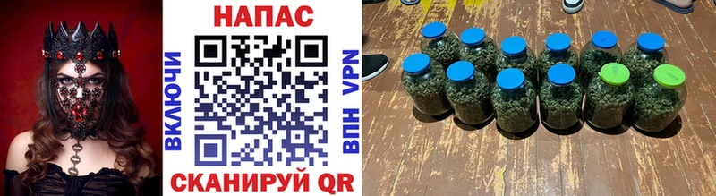как найти закладки  мега tor  МАРИХУАНА ГИДРОПОН  Гусев 